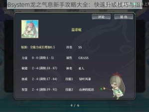 DBsystem龙之气息新手攻略大全：快速升级技巧与指南