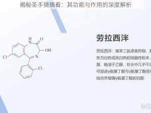 揭秘圣手猜猜看：其功能与作用的深度解析