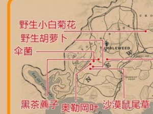 荒野大镖客2：草药大师挑战攻略解析——如何顺利完成草药大师挑战2