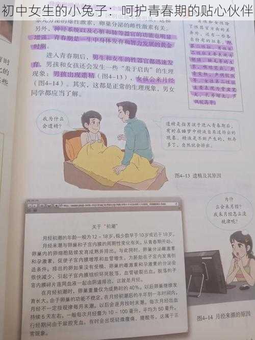 初中女生的小兔子：呵护青春期的贴心伙伴