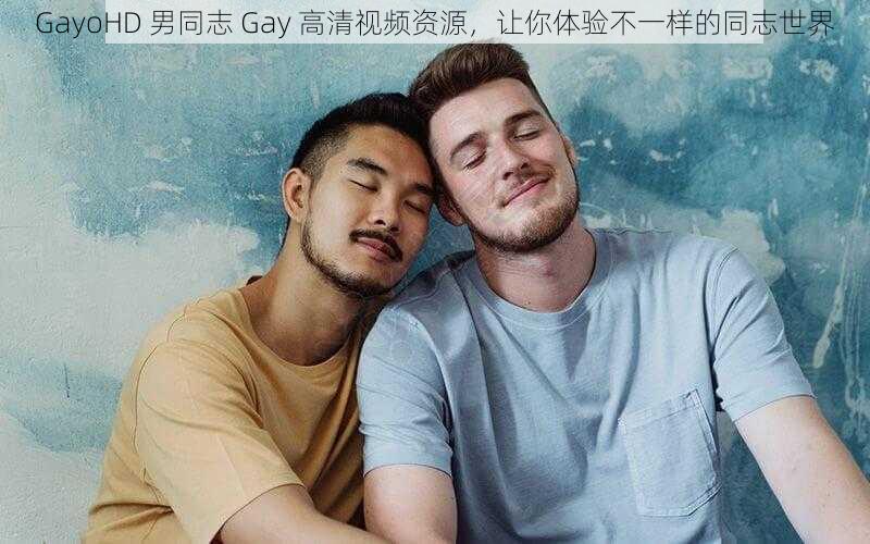 GayoHD 男同志 Gay 高清视频资源，让你体验不一样的同志世界