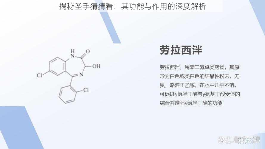 揭秘圣手猜猜看：其功能与作用的深度解析